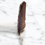 Crow Feather - Original Kauwe Ka Pankh - Kaale Kowe Ka Pankh Upay Ke Liye - Original Crow Feather for Remedies - Malawala