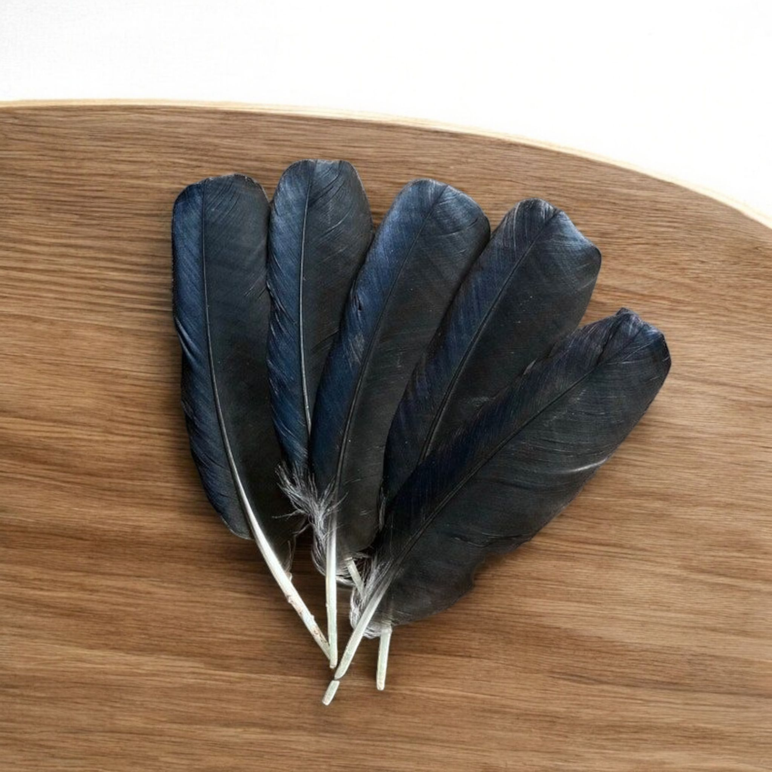 Crow Feather - Original Kauwe Ka Pankh - Kaale Kowe Ka Pankh Upay Ke Liye - Original Crow Feather for Remedies - Malawala