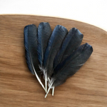 Crow Feather - Original Kauwe Ka Pankh - Kaale Kowe Ka Pankh Upay Ke Liye - Original Crow Feather for Remedies - Malawala