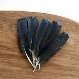 Crow Feather - Original Kauwe Ka Pankh - Kaale Kowe Ka Pankh Upay Ke Liye - Original Crow Feather for Remedies - Malawala