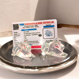 Crystal Nandi – Sphatik Nandi Set of 2 | Lab Certified for Blessings & Spiritual Strength – Malawala