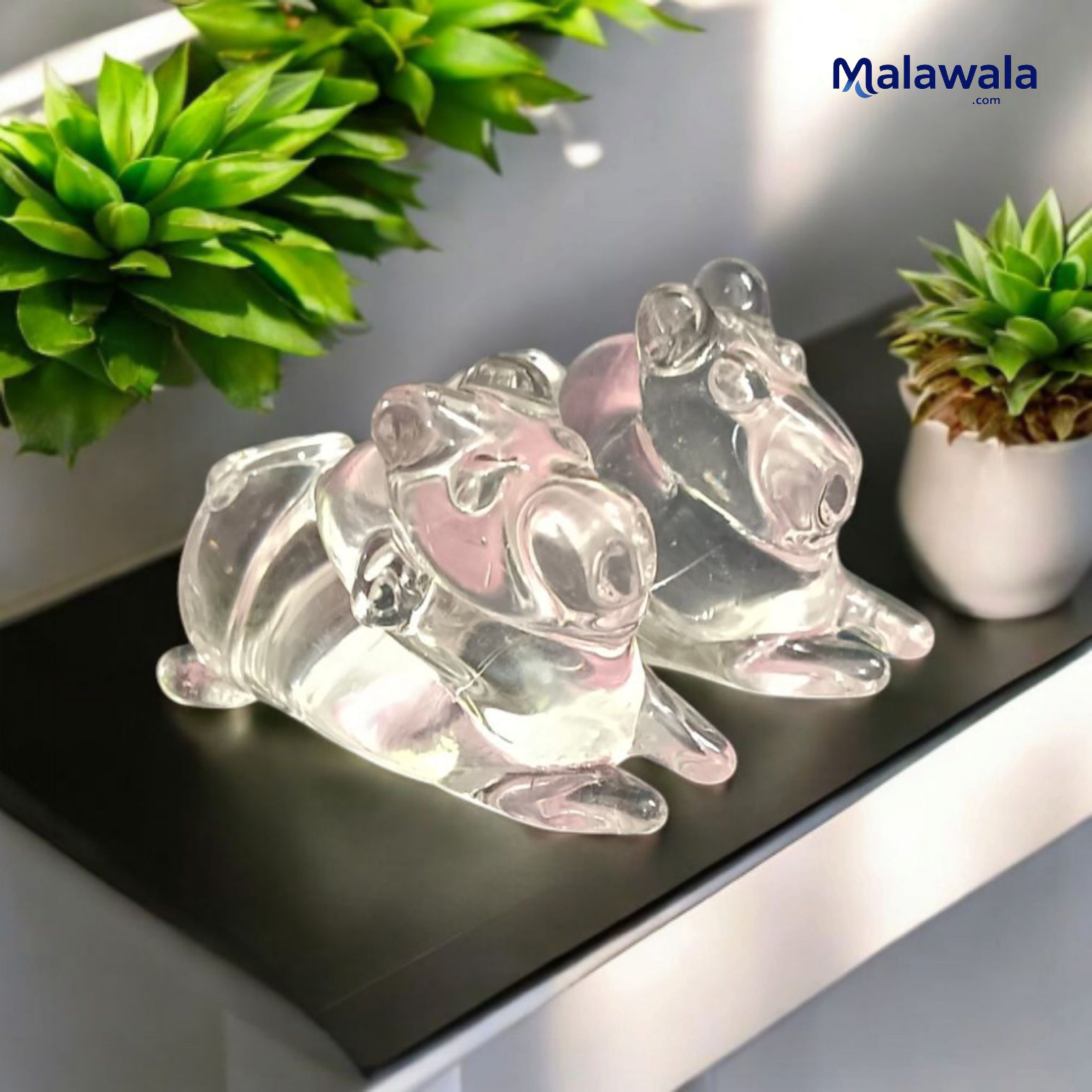 Crystal Nandi – Sphatik Nandi Set of 2 | Lab Certified for Blessings & Spiritual Strength – Malawala