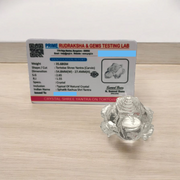 Crystal Shree Yantra on Tortoise – Lab Certified for Prosperity & Positive Energy – Malawala