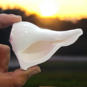 Dakshinavarti Shankh – Natural Valampuri Sangu with Free Stand & Lab Certificate – Malawala