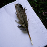 Eagle Feather - Natural Cheel Ka Pankh - Chil Ka Pankh Upay Ke Liye - Original Hawk Eagle Feather for Remedies - Malawala