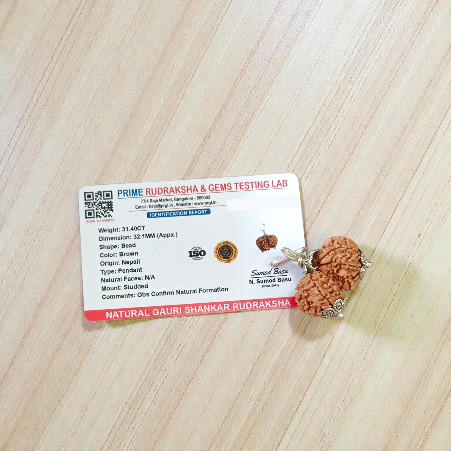 Gauri Shankar Rudraksha bead – symbolizing the union of Lord Shiva and Goddess Parvati, spiritually blessed, lab certified, from Malawala