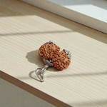 Gauri Shankar Rudraksha bead – symbolizing the union of Lord Shiva and Goddess Parvati, spiritually blessed, lab certified, from Malawala