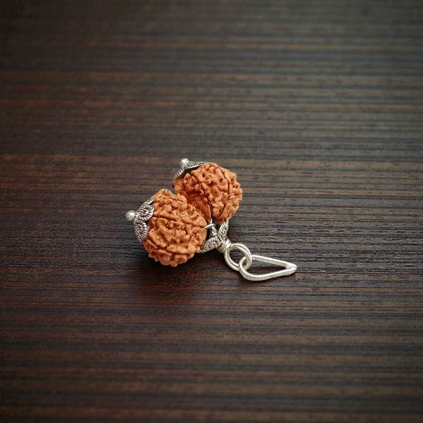 Gauri Shankar Rudraksha bead – symbolizing the union of Lord Shiva and Goddess Parvati, spiritually blessed, lab certified, from Malawala