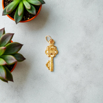 Golden Kuber Kunji locket with matching chain, designed for daily wear and believed to attract wealth and prosperity