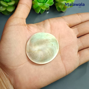 Gomati Chakra Big Size | Rare & Giant Stone | Lab Certified | Ideal for Remedies & Spiritual Practices – Malawala