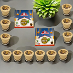 Guggal Dhoop Cup – 12 Pcs Organic Resin Cone with Loban Fragrance - Malawala