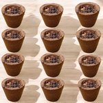 Guggal Dhoop Cup – 12 Pcs Organic Resin Cone with Loban Fragrance - Malawala