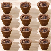 Guggal Dhoop Cup – 12 Pcs Organic Resin Cone with Loban Fragrance - Malawala