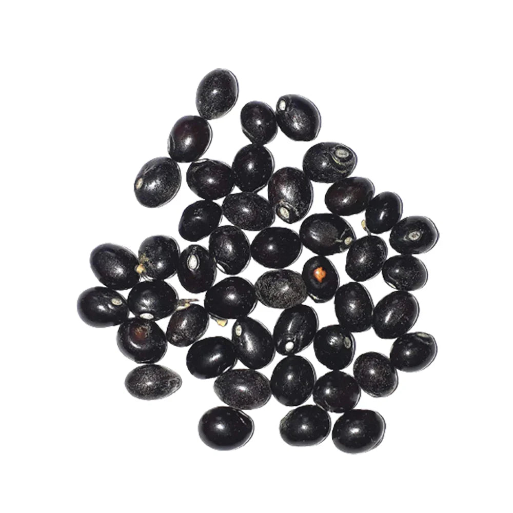 Gunja Seeds Set of 21 – Red, White & Black | Loose Beads | Lab Certified | For Pooja, Remedies & Protection Use – Malawala