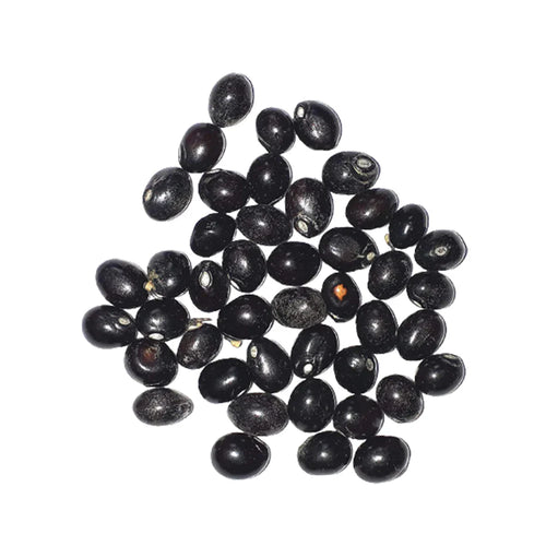 Gunja Seeds Set of 21 – Red, White & Black | Loose Beads | Lab Certified | For Pooja, Remedies & Protection Use – Malawala