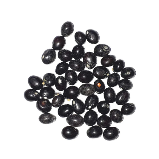Gunja Seeds Set of 21 – Red, White & Black | Loose Beads | Lab Certified | For Pooja, Remedies & Protection Use – Malawala