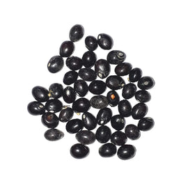 Gunja Seeds Set of 21 – Red, White & Black | Loose Beads | Lab Certified | For Pooja, Remedies & Protection Use – Malawala