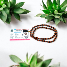Handcrafted Black Agate and Rudraksha 108+1 Beads Mala with 6mm certified beads arranged in a spiritual japa mala design