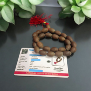 Handcrafted Kamal Gutta Mala made from natural lotus seed beads, available in 27+1 and 108+1 bead variants with a spiritual guru bead and certificate