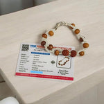 Handcrafted Natural Rudraksha & White Sandalwood Bracelet with 8mm beads on elastic thread, designed for spiritual wellness