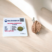 Handcrafted pendant featuring 2 Mukhi and 6 Mukhi Rudraksha beads set in metal caps, symbolizing peace, strength, and clarity