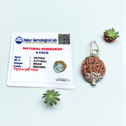 Handcrafted pendant featuring 2 Mukhi and 6 Mukhi Rudraksha beads set in metal caps, symbolizing peace, strength, and clarity