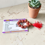 Natural 7 Mukhi Rudraksha Finger Mala 9+1 Beads 11-12mm Lab Certified Original Nepali Rudraksha for Wealth and Prosperity