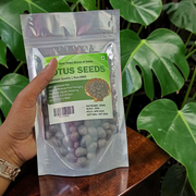 natural lotus seeds kamalgatta mala for lakshmi puja wealth prosperity spiritual beads