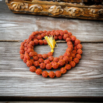 Image displaying a combo of 5 Rudraksha Malas (108+1 beads each) and 1 Rudraksha Japa Mala (27+1 beads), all lab certified and neatly arranged for spiritual practice