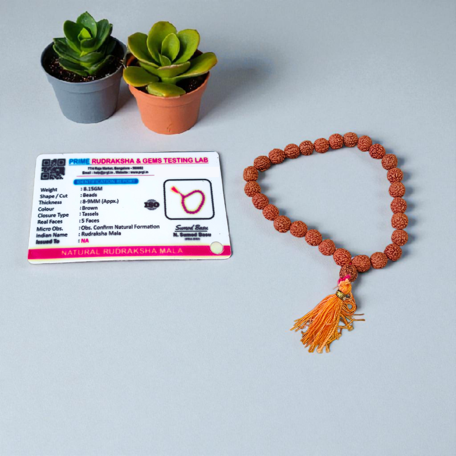 Image displaying a combo of 5 Rudraksha Malas (108+1 beads each) and 1 Rudraksha Japa Mala (27+1 beads), all lab certified and neatly arranged for spiritual practice