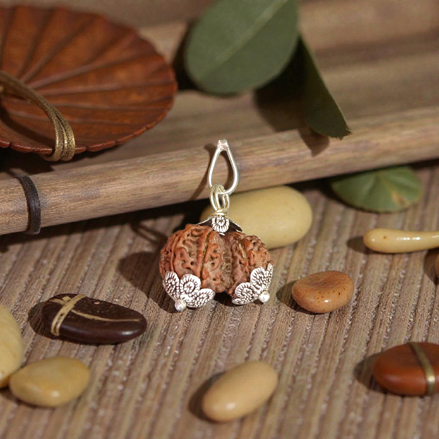 Image of Garbh Gauri Rudraksha twin bead with natural brown texture, placed on a silk cloth with traditional background
