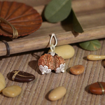 Image of Garbh Gauri Rudraksha twin bead with natural brown texture, placed on a silk cloth with traditional background
