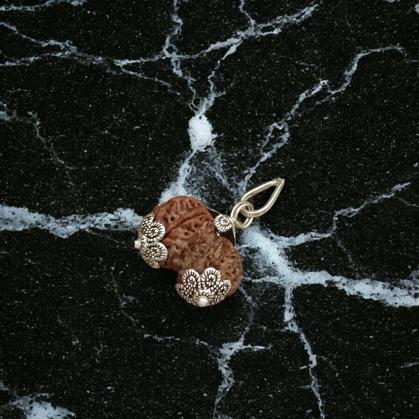 Image of Garbh Gauri Rudraksha twin bead with natural brown texture, placed on a silk cloth with traditional background