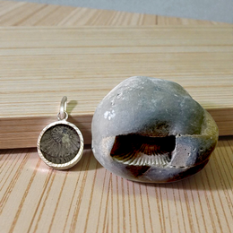 Image of a combo featuring a Laxmi Narayan Shaligram stone and a sacred Shaligram pendant placed on a spiritual altar background