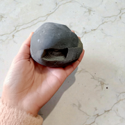 Image of a combo featuring a Laxmi Narayan Shaligram stone and a sacred Shaligram pendant placed on a spiritual altar background