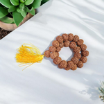 Image showing 6 Mukhi Rudraksha Mala with 13MM natural brown beads and traditional stringing, available in 27+1 and 108+1 variants, ideal for meditation and success