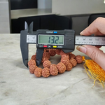 Image showing 6 Mukhi Rudraksha Mala with 13MM natural brown beads and traditional stringing, available in 27+1 and 108+1 variants, ideal for meditation and success