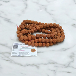 Image showing 6 Mukhi Rudraksha Mala with 13MM natural brown beads and traditional stringing, available in 27+1 and 108+1 variants, ideal for meditation and success