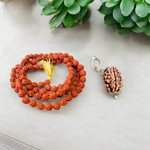 Image showing a combo of brown Rudraksha Mala (108 beads) and a single 3 Mukhi Rudraksha Pendant, both lab certified and handcrafted for spiritual use