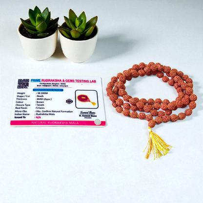 Image showing a combo of brown Rudraksha Mala (108 beads) and a single 3 Mukhi Rudraksha Pendant, both lab certified and handcrafted for spiritual use