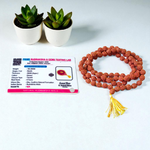 Image showing a combo of brown Rudraksha Mala (108 beads) and a single 3 Mukhi Rudraksha Pendant, both lab certified and handcrafted for spiritual use