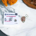 Image showing a combo of brown Rudraksha Mala (108 beads) and a single 3 Mukhi Rudraksha Pendant, both lab certified and handcrafted for spiritual use
