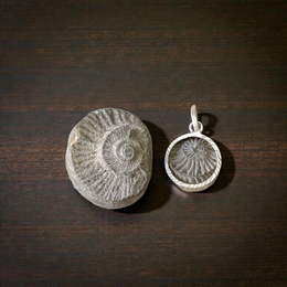 Image showing a combo of natural Sudarshan Shaligram stone with visible chakra marks and a wearable Shaligram pendant on a spiritual display background