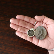 Image showing a combo of natural Sudarshan Shaligram stone with visible chakra marks and a wearable Shaligram pendant on a spiritual display background