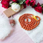 Image showing a complete set of 5 Mukhi Rudraksha Mala and a matching Rudraksha Pendant with metal capping on a spiritual background