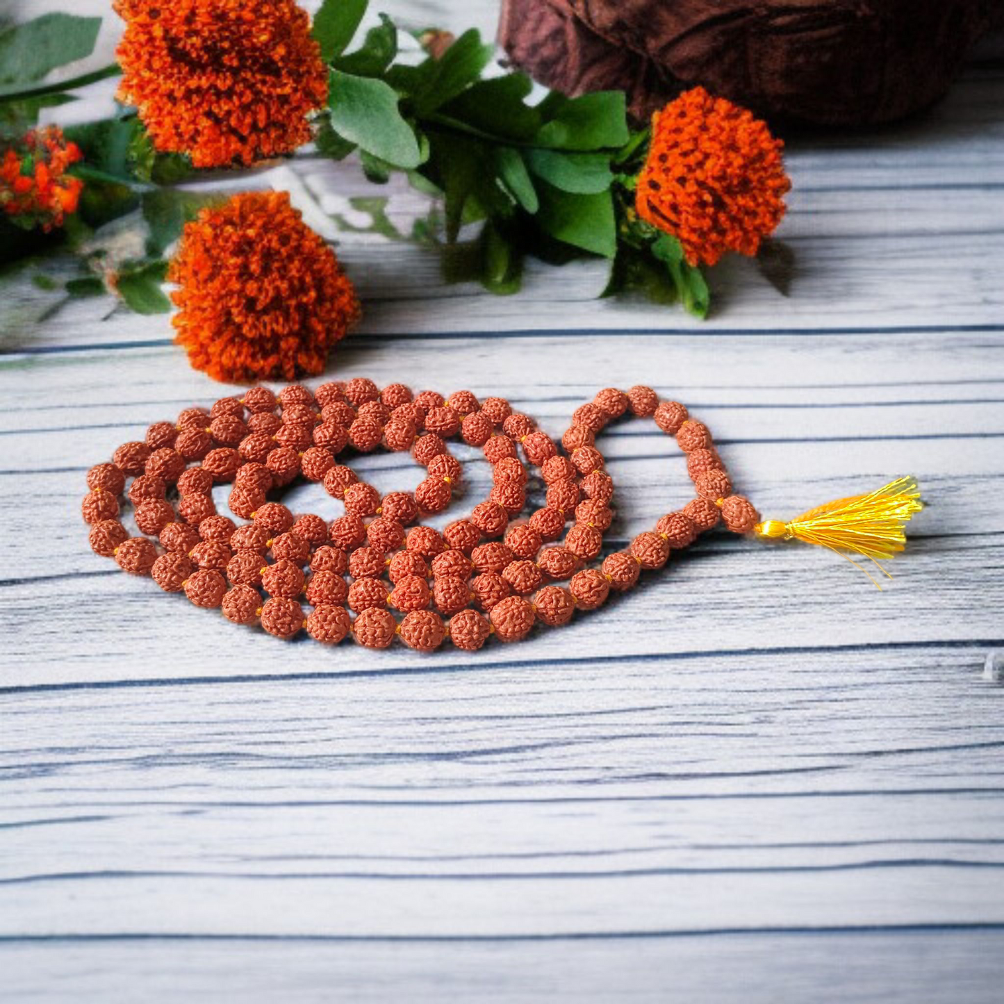 Image showing a complete set of 5 Mukhi Rudraksha Mala and a matching Rudraksha Pendant with metal capping on a spiritual background