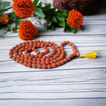 Image showing a complete set of 5 Mukhi Rudraksha Mala and a matching Rudraksha Pendant with metal capping on a spiritual background