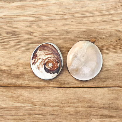 Image showing a set of two large Gomati Chakras with natural spiral patterns, placed on a white cloth, ideal for Puja and decoration
