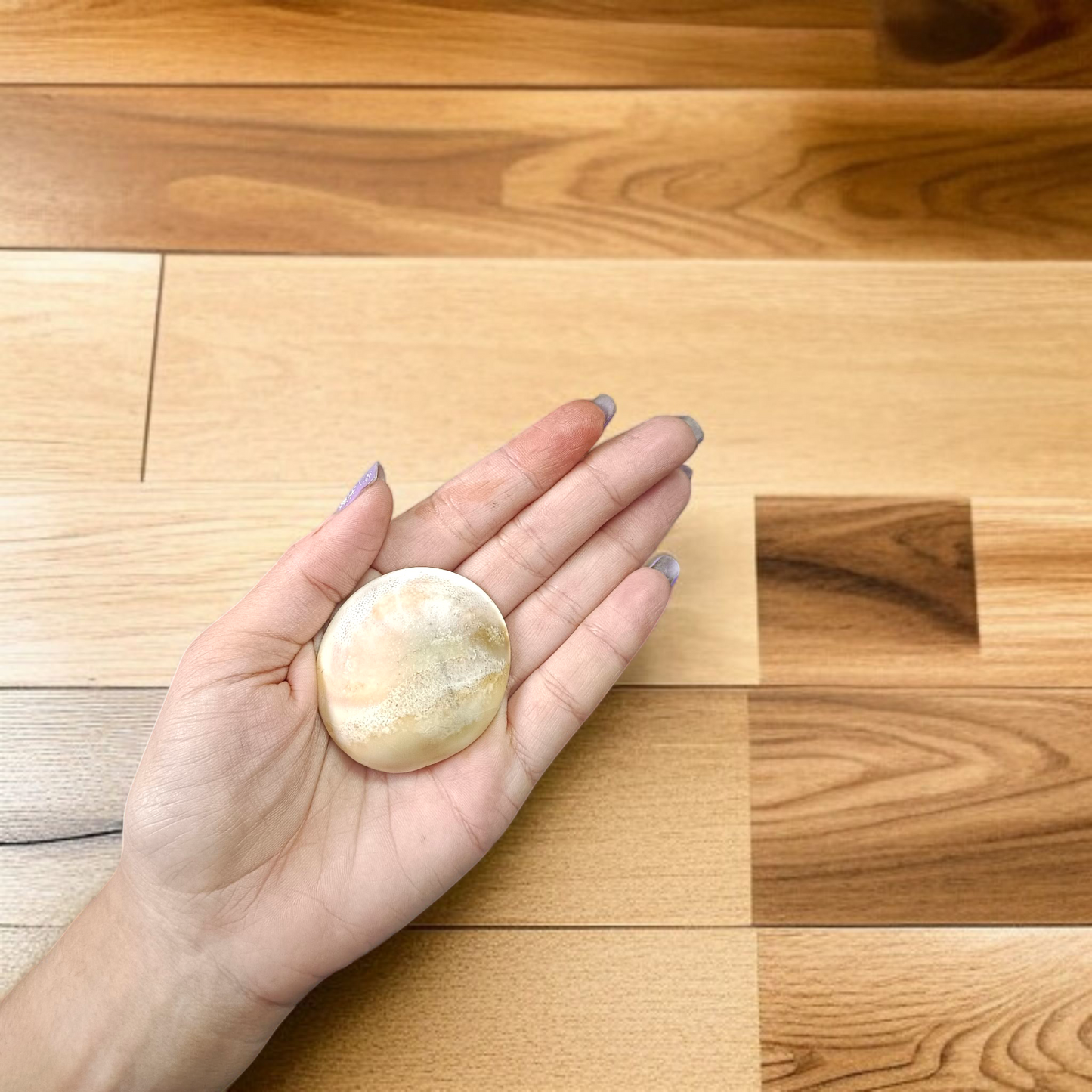 Image showing a set of two large Gomati Chakras with natural spiral patterns, placed on a white cloth, ideal for Puja and decoration