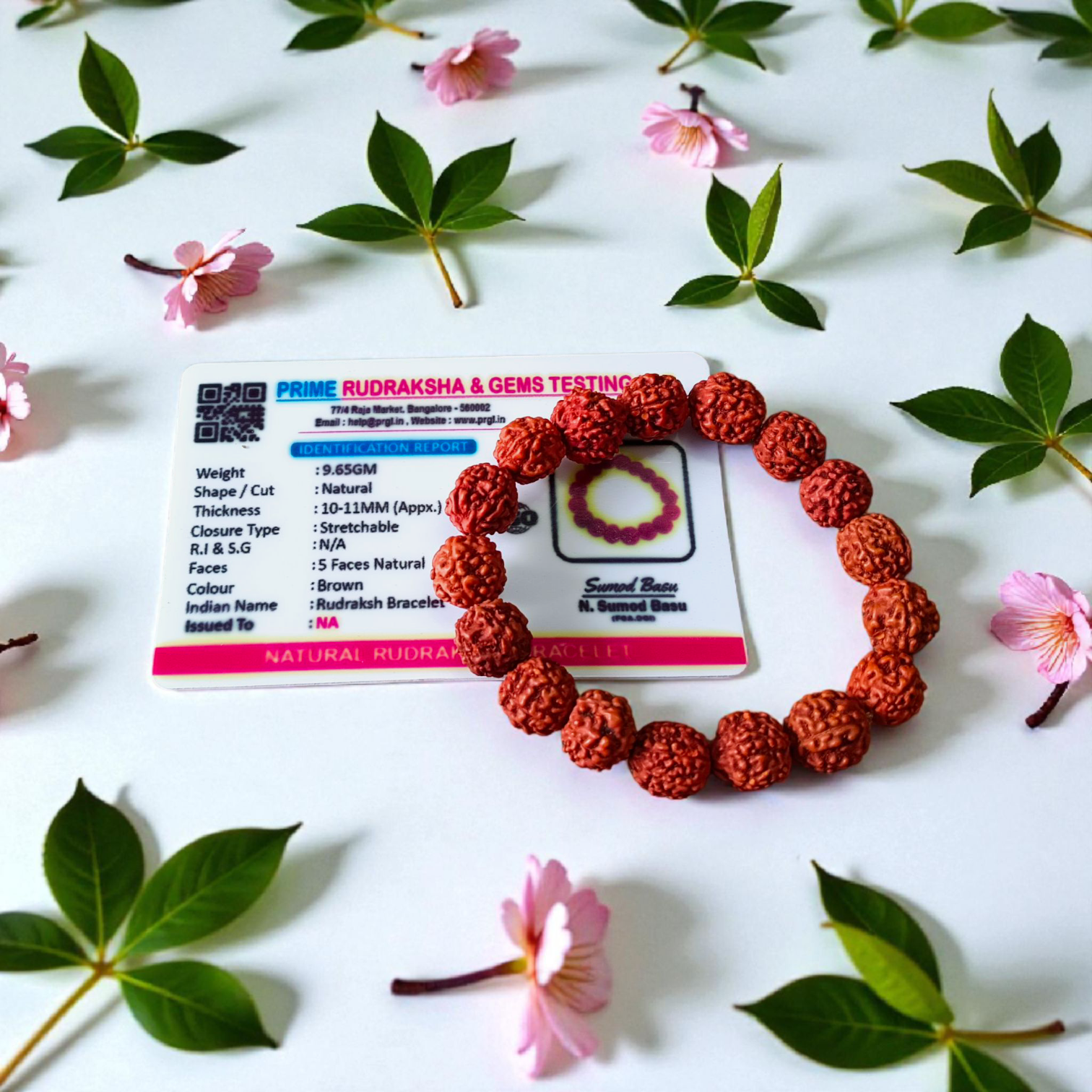 Image showing a stretchable 5 Mukhi Rudraksha bracelet made with 11mm natural brown beads, arranged in a circle on a plain background